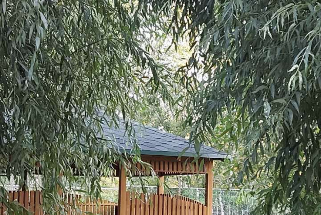 barbeku-3